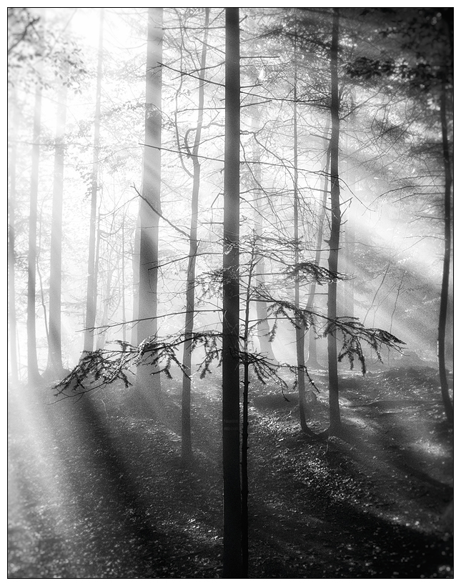 Pieniny...