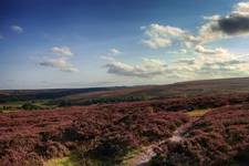 North York Moors National Park