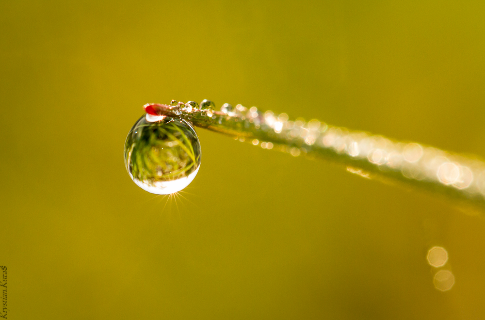 The World closed in one drop