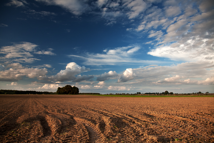 Sierpień