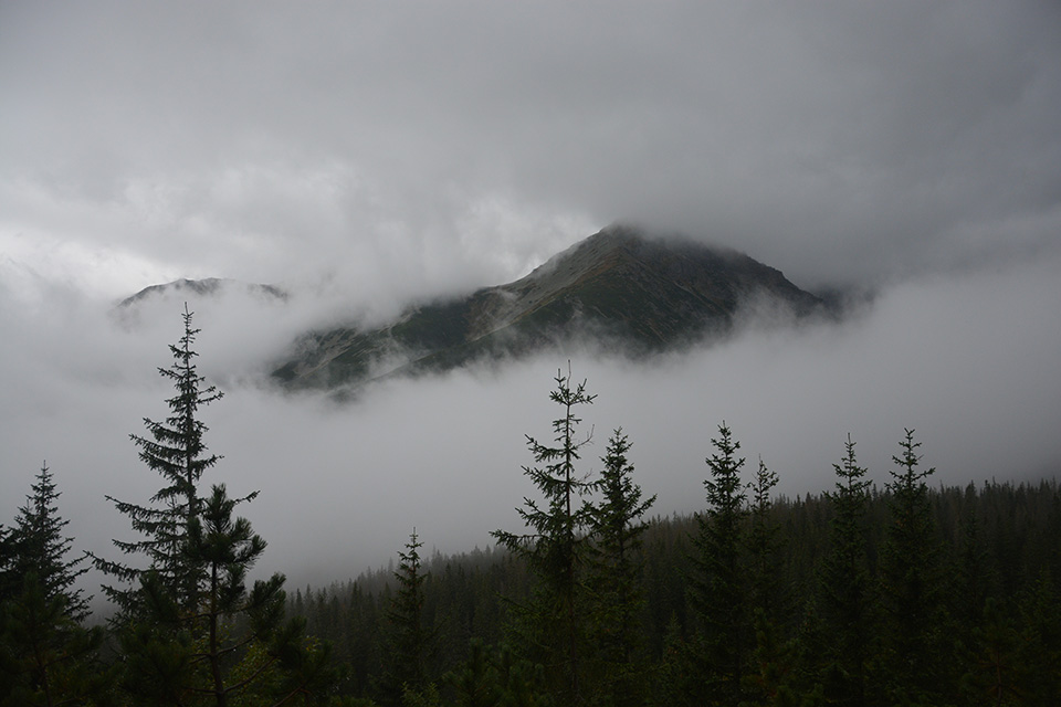 Panoramy w Zakopanym.