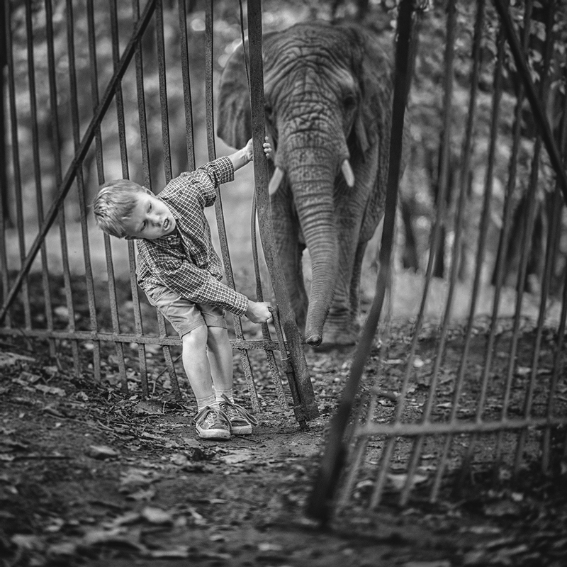 nie będziesz siedzieć z osłami w jednym zoo ...