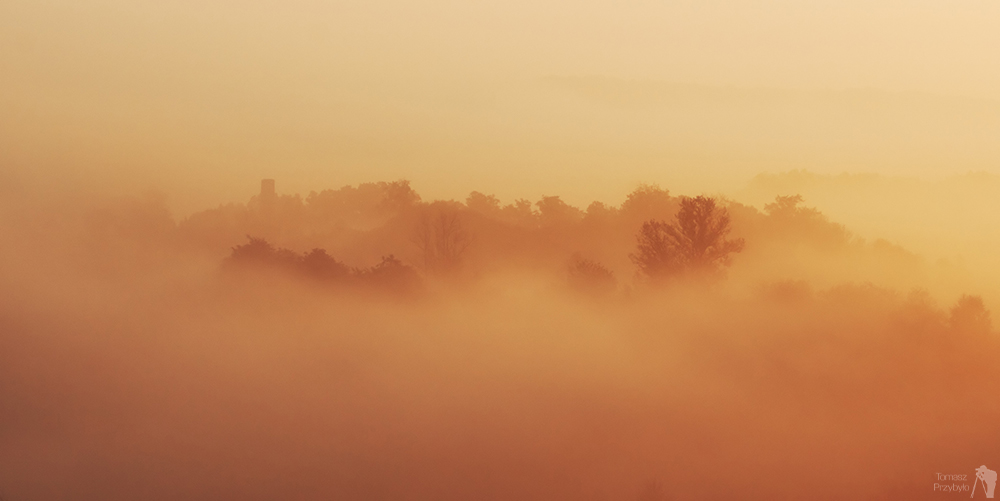 Foggy Island