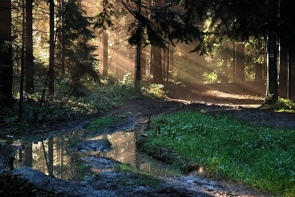 Ścieżki Beskidów... [41]