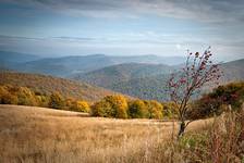 Bieszczady