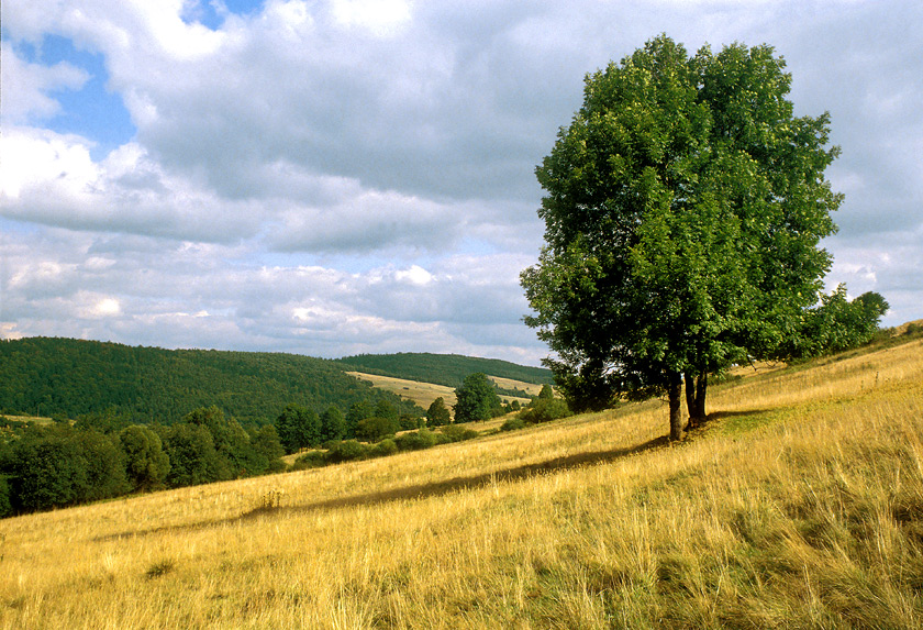 Beskid Niski