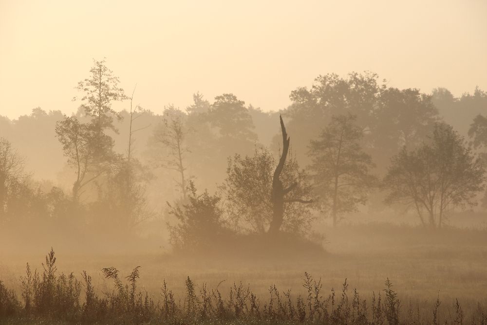 Nad Stobrawą