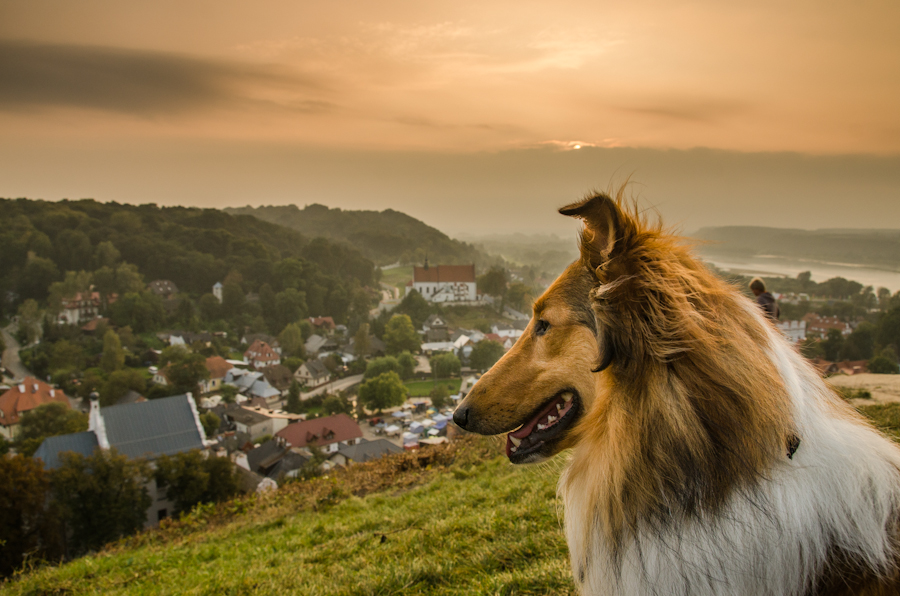 Podziwiając panoramę...