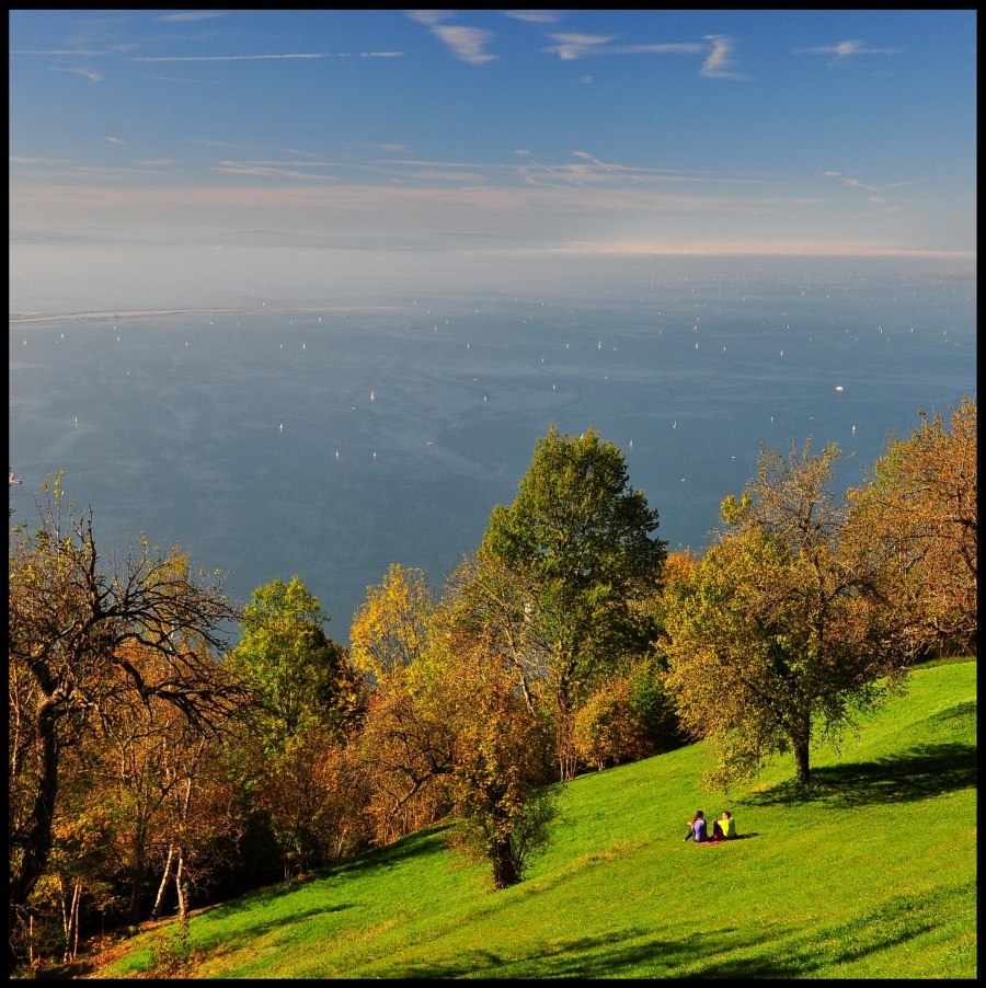 Admiring the Bodensee