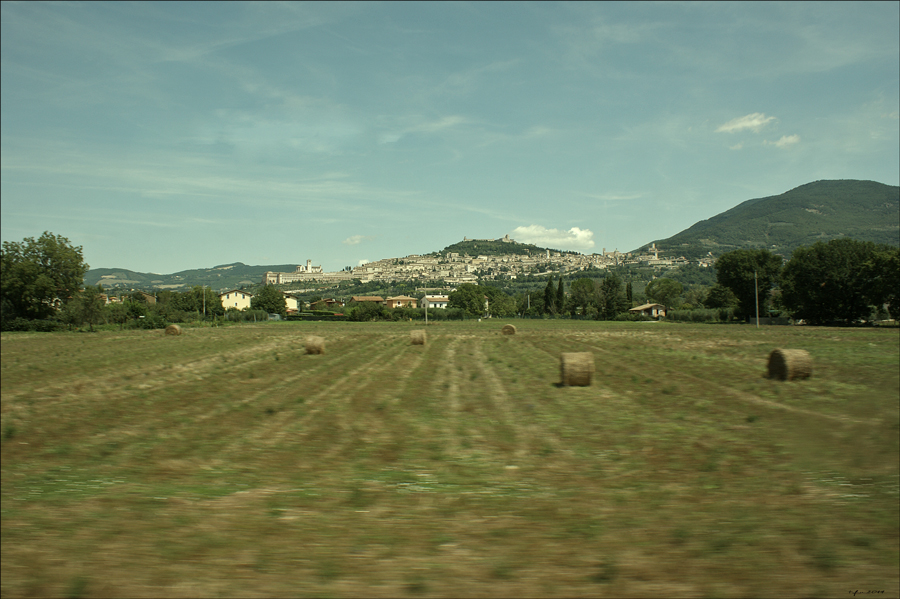 rotoli di assisi