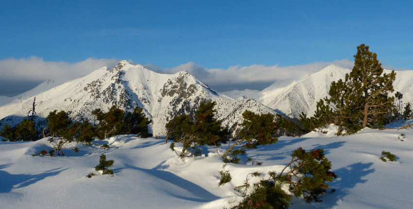 Tatry