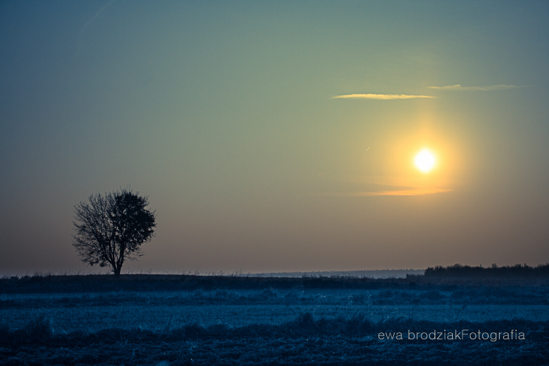 ewa.by