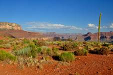 Arizona G.Canyon