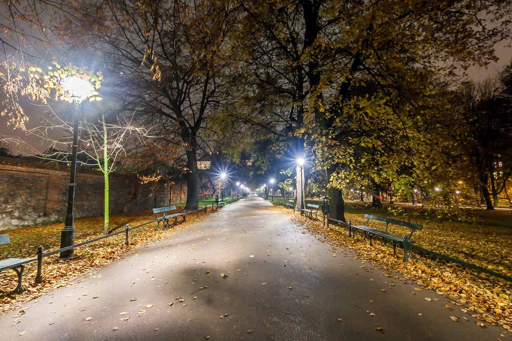 Planty Kraków 11.2014