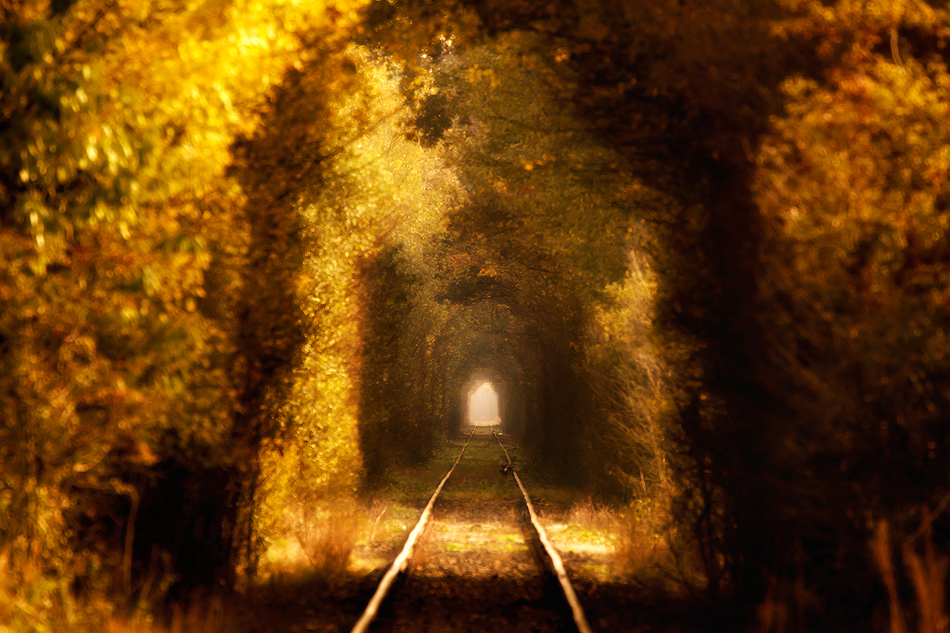 Tunnel of Love