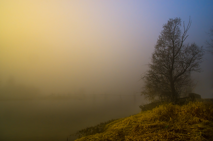 Ogródek nad rzeką