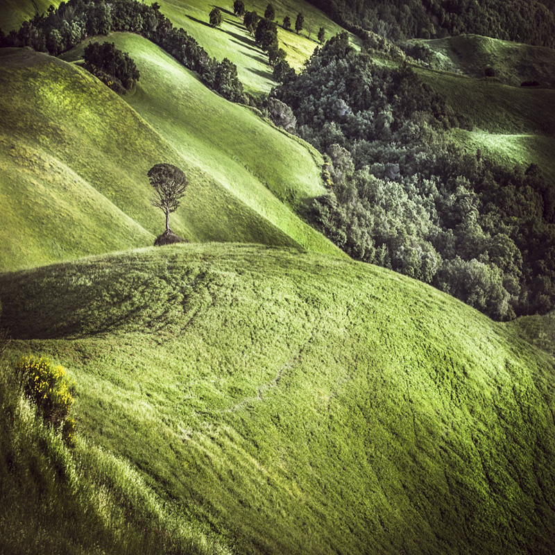 Val d'Orcia