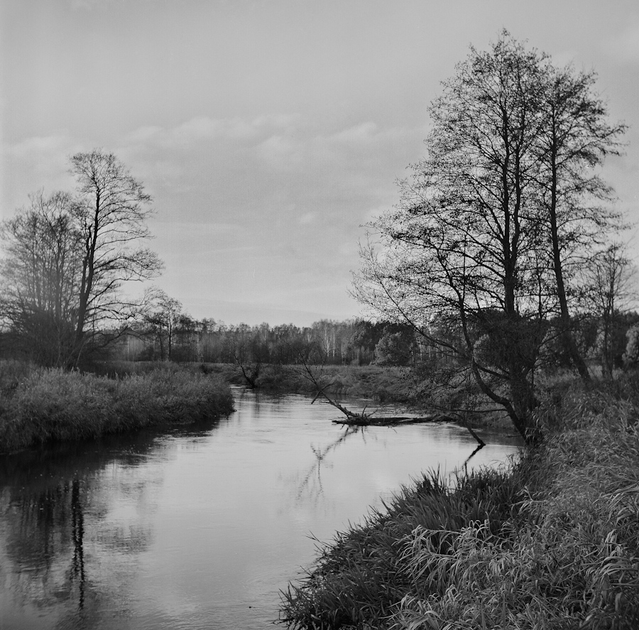 Nad rzeką