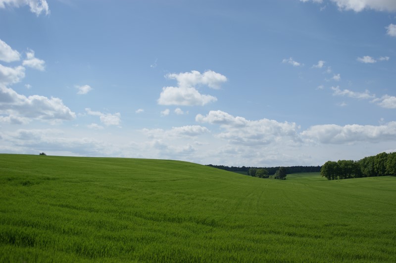 poletka koło mojego miasteczka