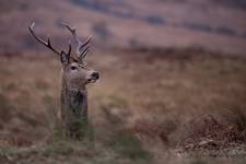 Glen Etive 2