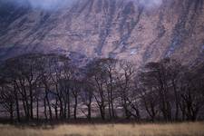 Glen Etive 3