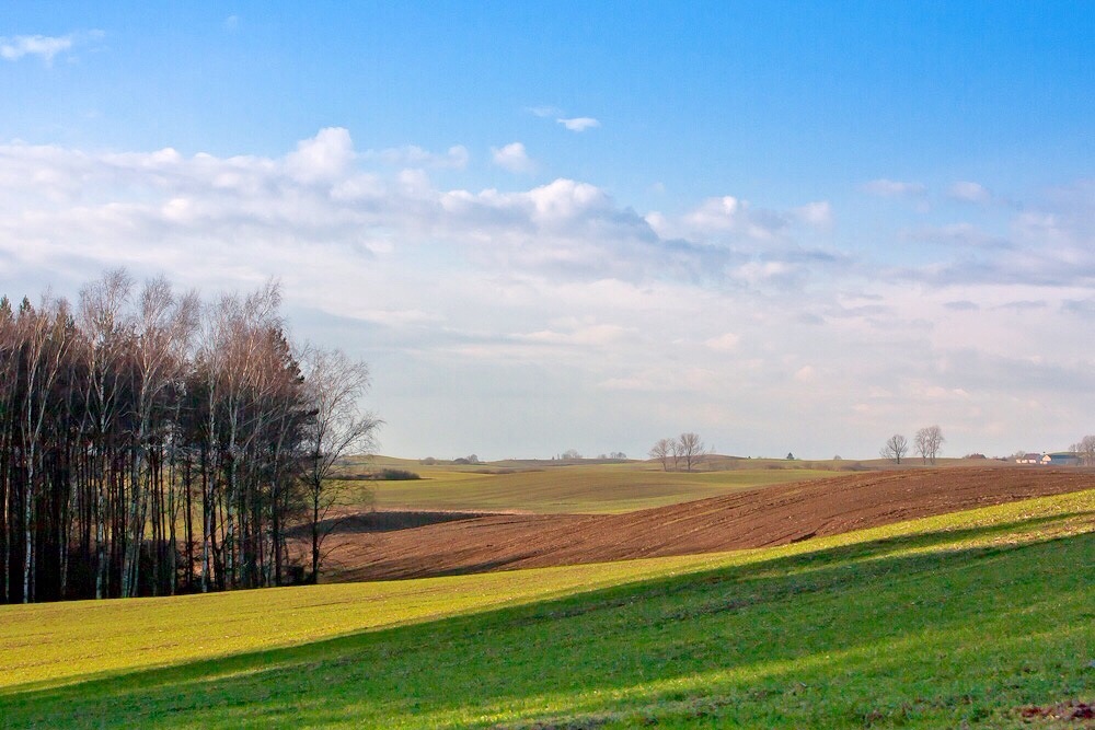 A miało być zimowo