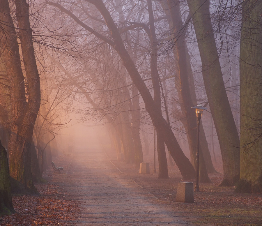 Wszystkie  stany melancholii