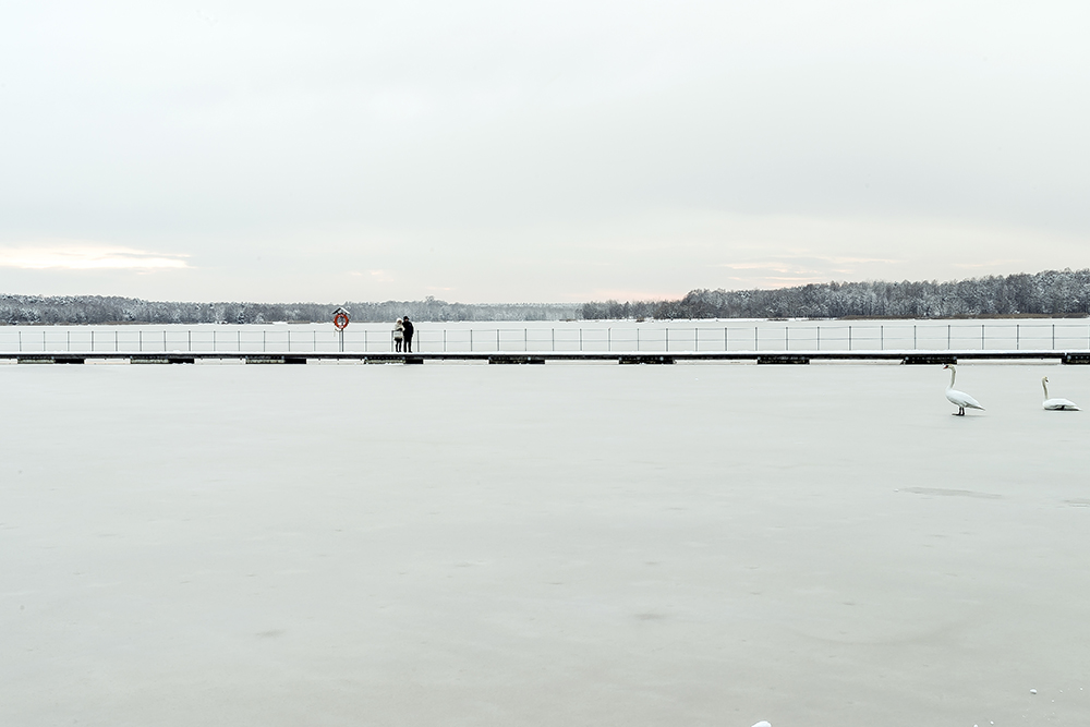 Papracany Tychy zimą