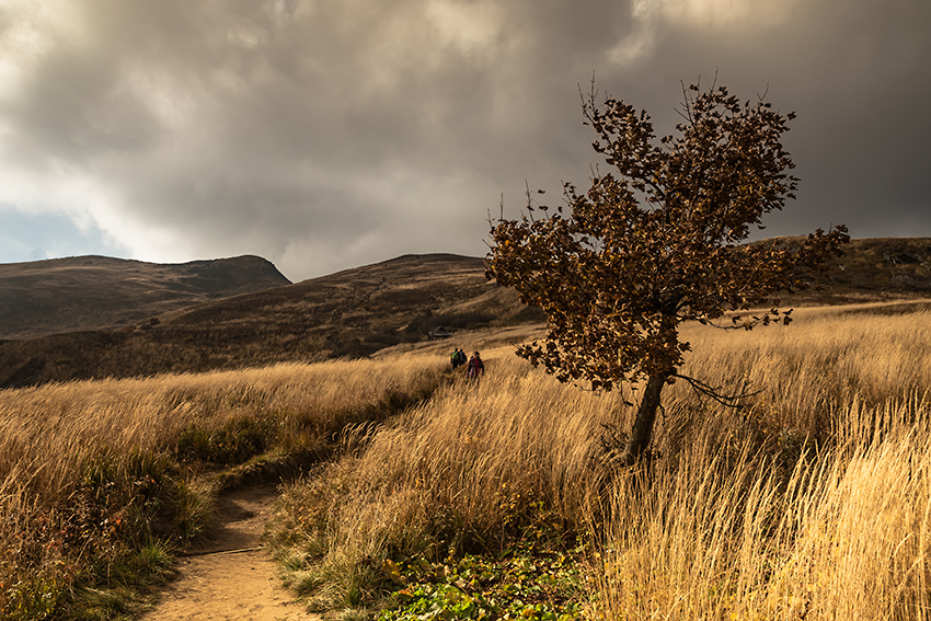 Bieszczady