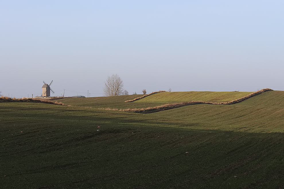 Wiosna już.