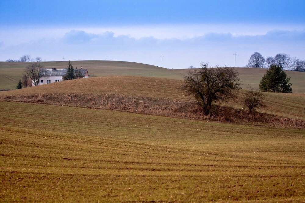 Popołudniowy spacer