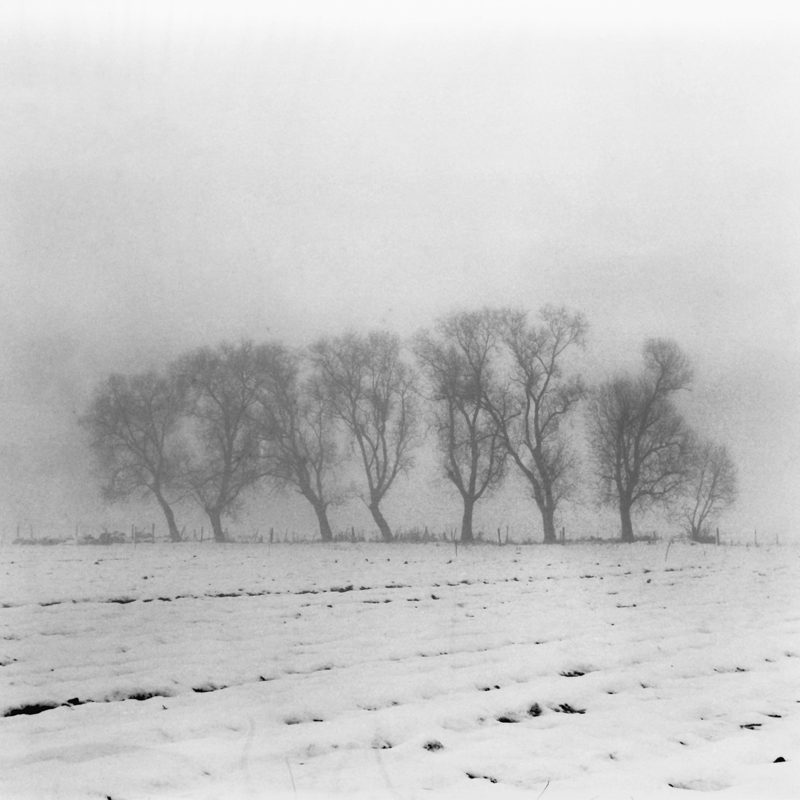 listopadowe pola na Podlasiu