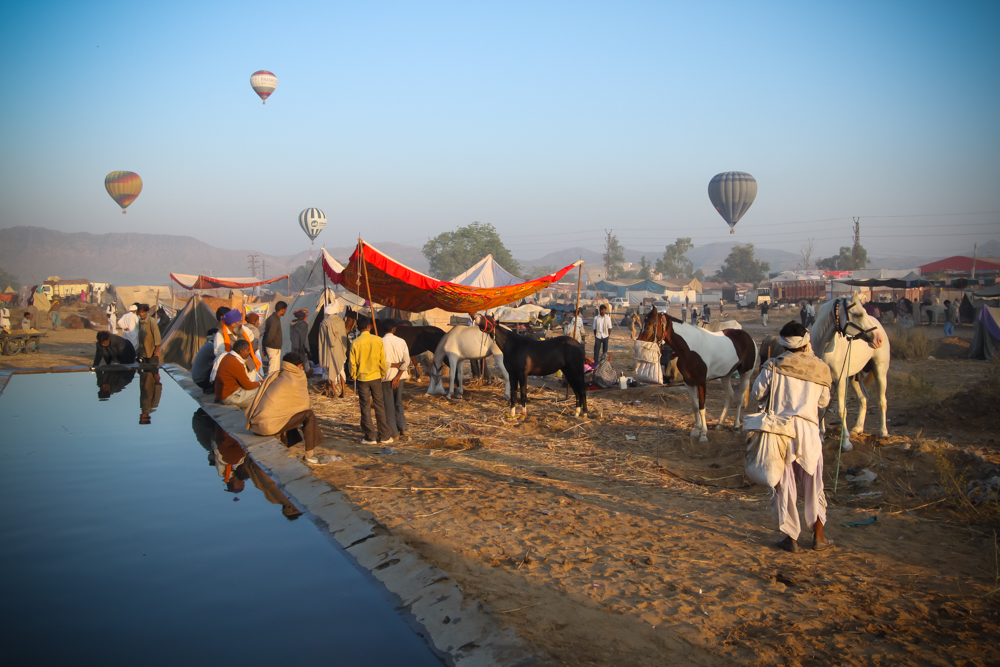 Pushkar