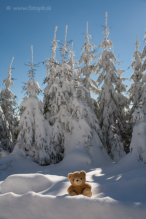 On the mountain