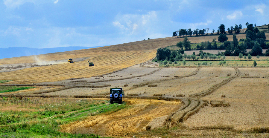 dolny śląsk