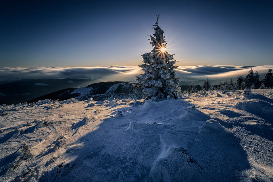 The Last Day of Winter