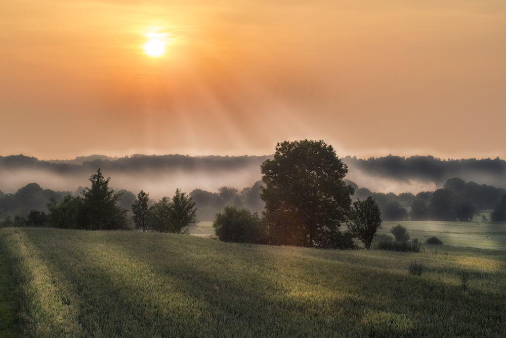 Retouch of summer 2012