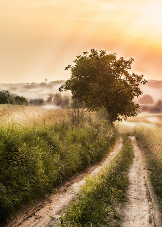 Hobbiton Retouch