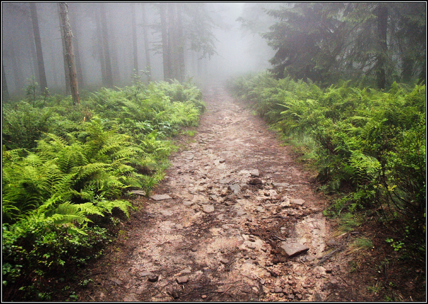 Beskid Żywiecki