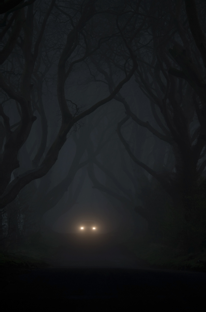 The Dark Hedges