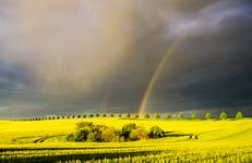 the sun and the rainfall