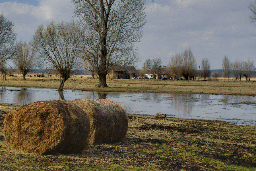 Nad Notecią