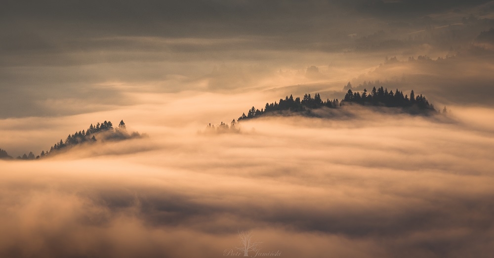 Złote Pieniny.