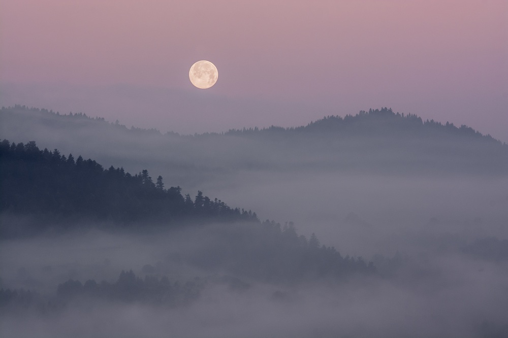 Pieniny