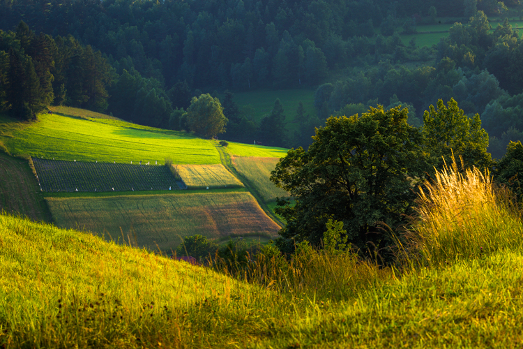 Beskid Sądecki