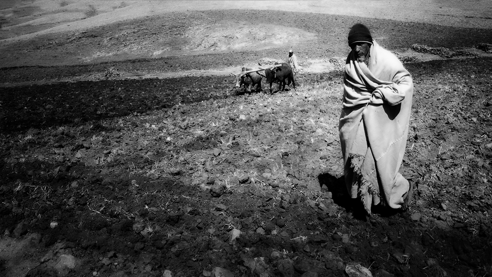 Ethiopian farmer