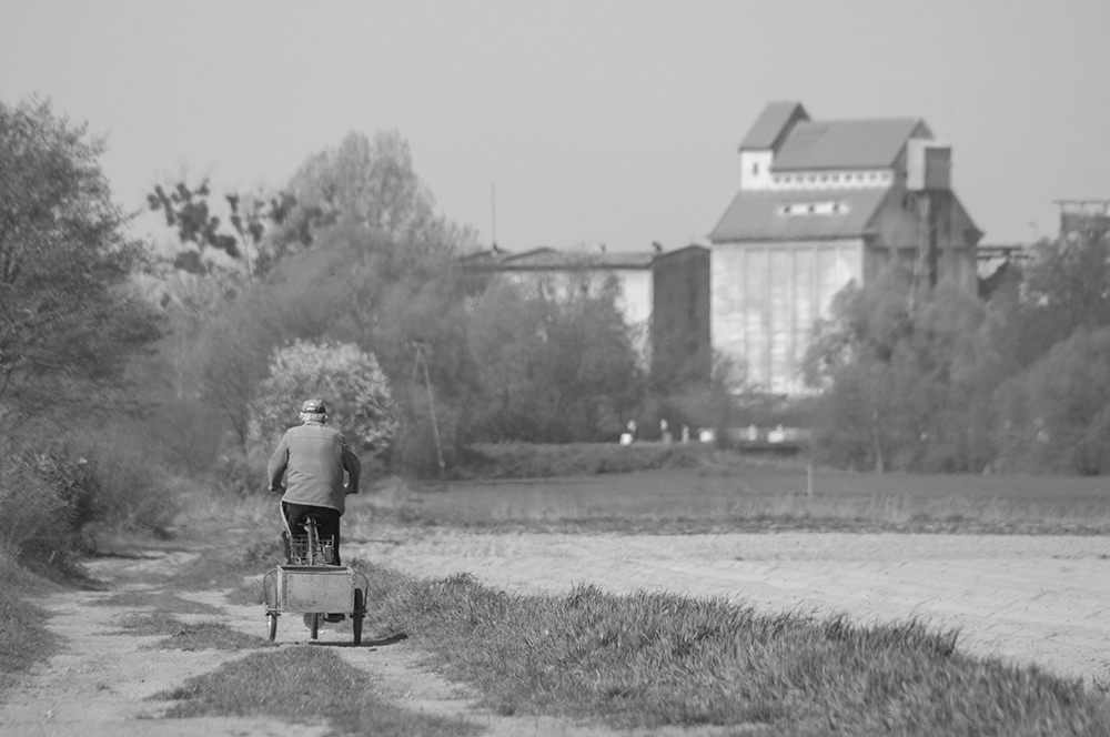 Polną drogą...