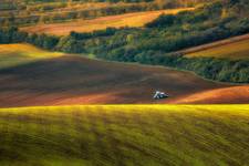 Autumn Moravian Fields.