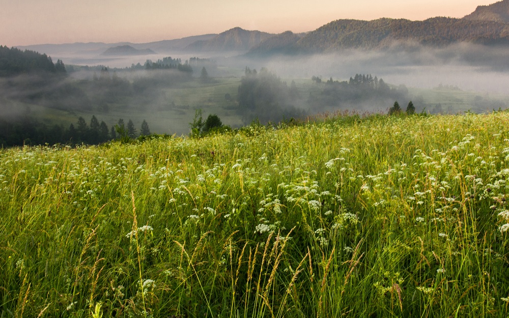 Pieniny