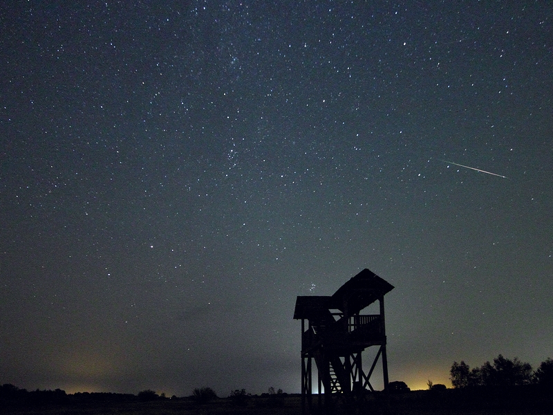 Noc Perseidów